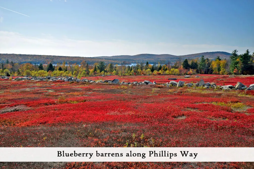80 Pickeral Cove Way Ellsworth ME 04605