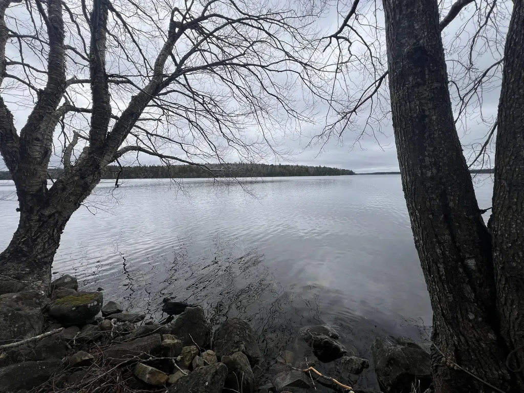 208 Camp Road Cooper ME 04657
