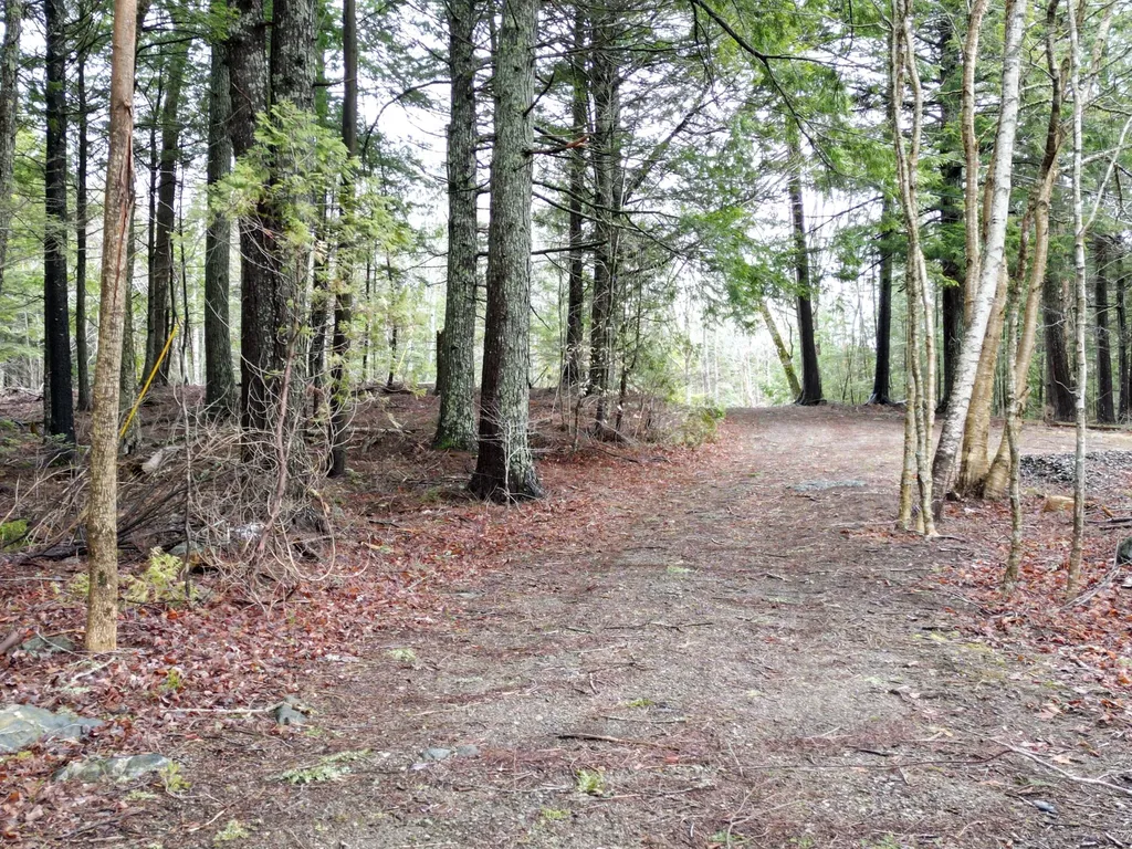208 Camp Road Cooper ME 04657