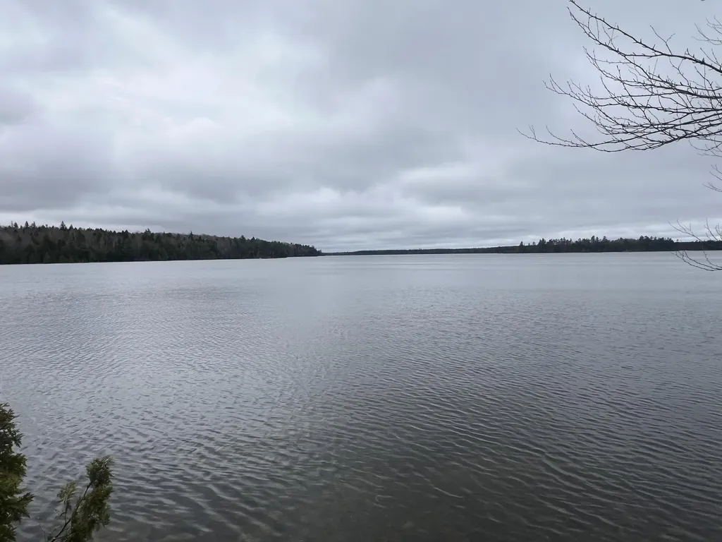 208 Camp Road Cooper ME 04657