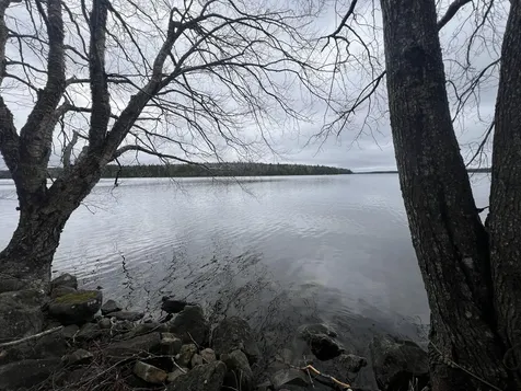208 Camp Road Cooper ME 04657