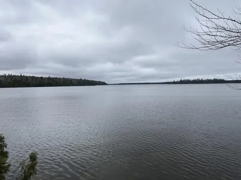 208 Camp Road Cooper ME 04657