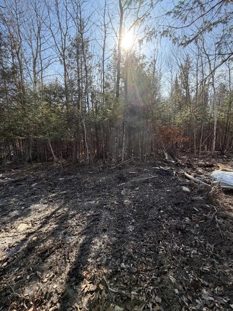 358 Puddledock Road Charleston ME 04422