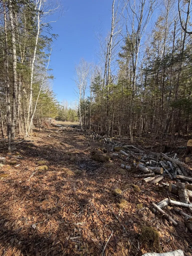 358 Puddledock Road Charleston ME 04422