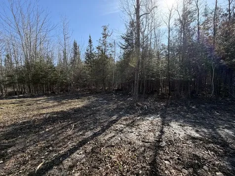 358 Puddledock Road Charleston ME 04422