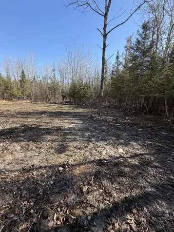 358 Puddledock Road Charleston ME 04422