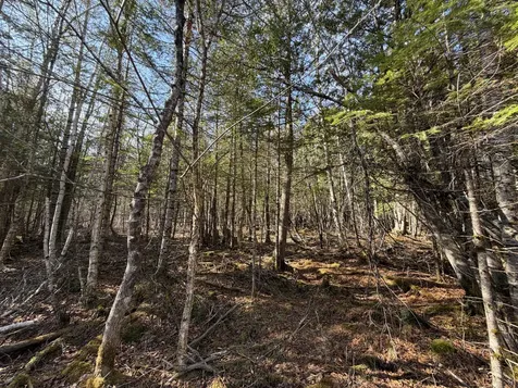 358 Puddledock Road Charleston ME 04422