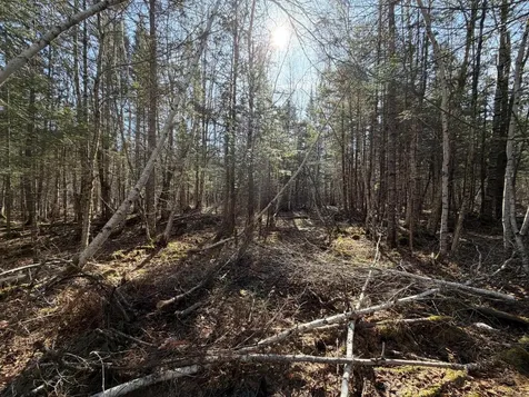 358 Puddledock Road Charleston ME 04422
