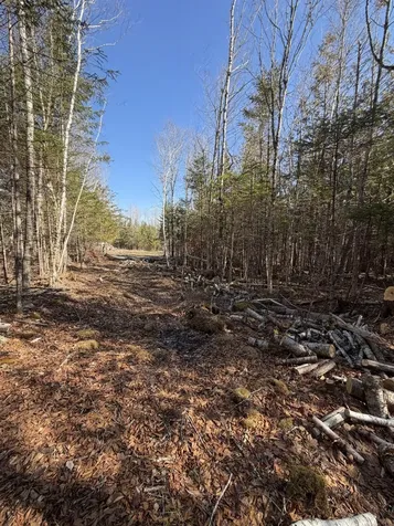 358 Puddledock Road Charleston ME 04422
