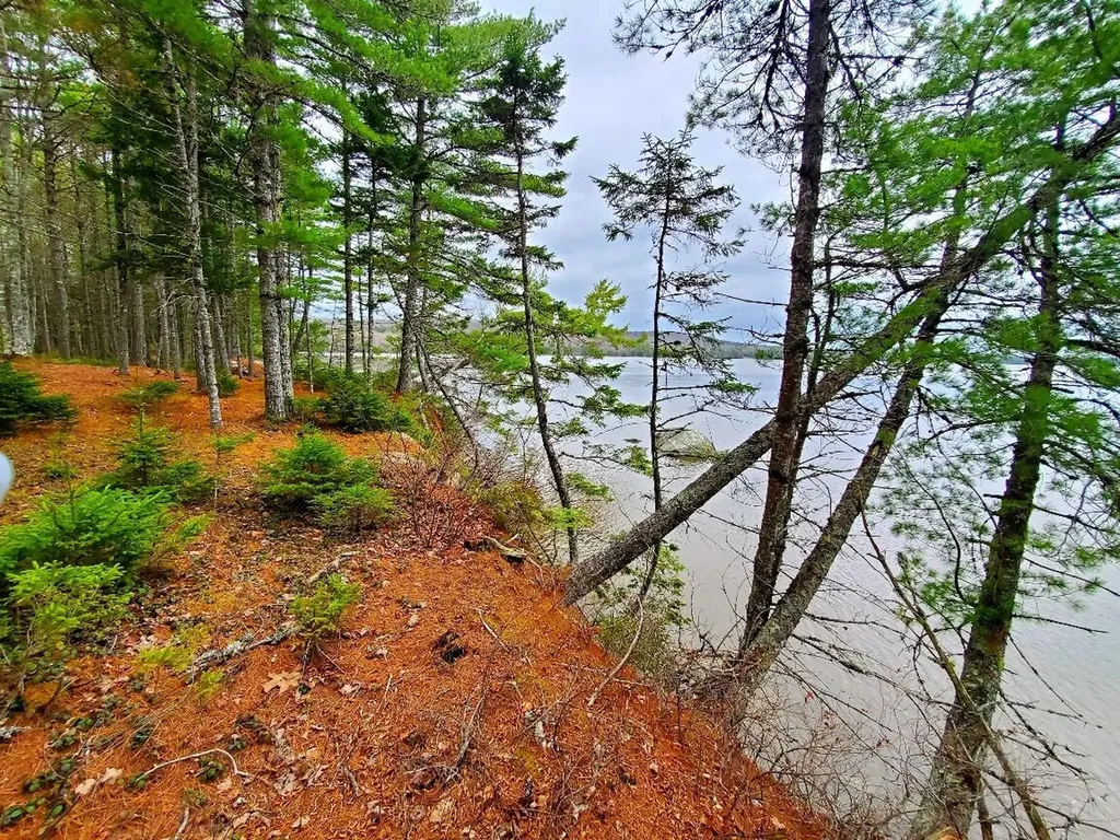 0 Jesses Beach Way Ellsworth ME 04605