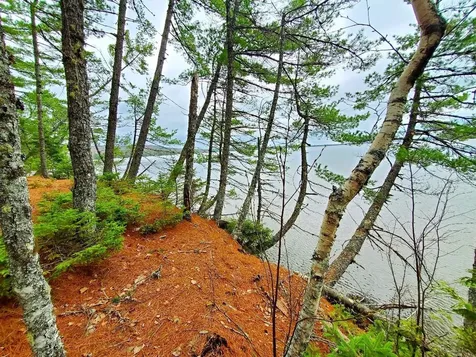 0 Jesses Beach Way Ellsworth ME 04605
