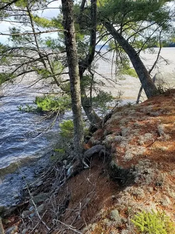 0 Jesses Beach Way Ellsworth ME 04605