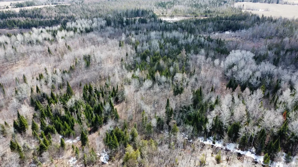 MAP6 Lot31 Mountain Road Blaine ME 04734