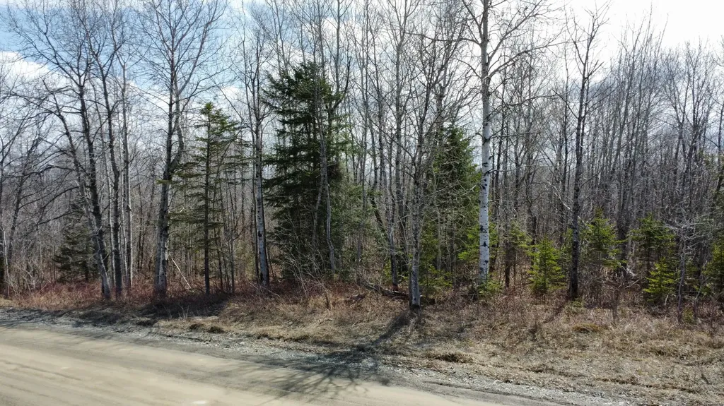 MAP6 Lot31 Mountain Road Blaine ME 04734