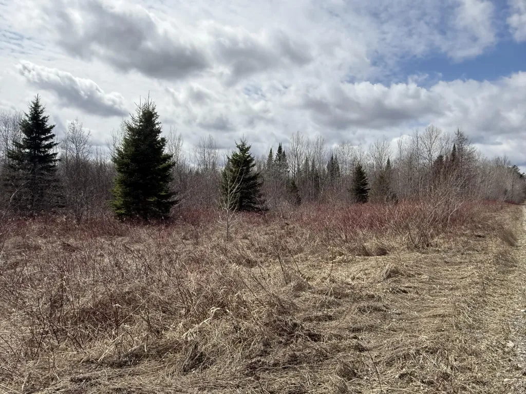 MAP6 Lot31 Mountain Road Blaine ME 04734