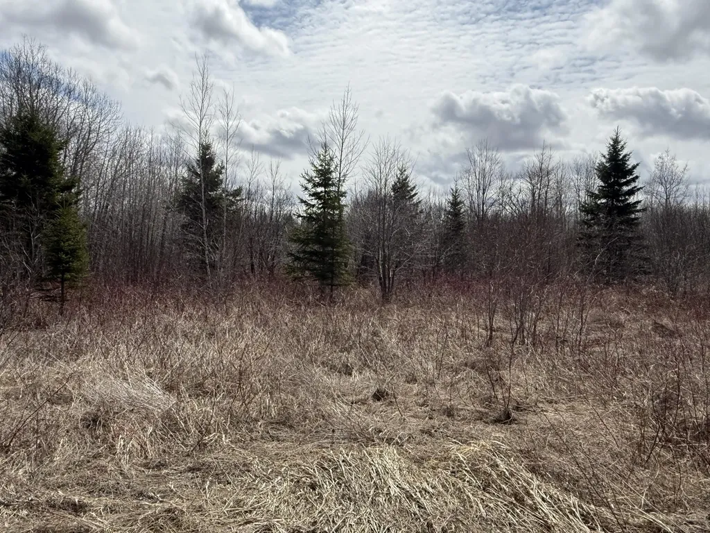 MAP6 Lot31 Mountain Road Blaine ME 04734