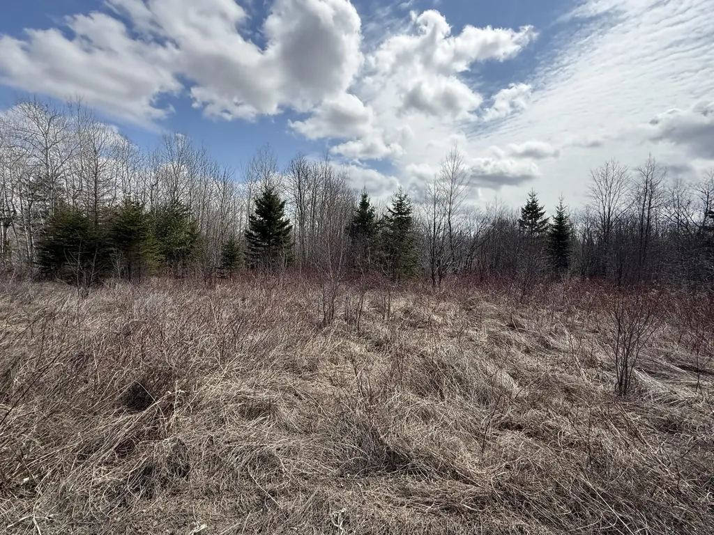 MAP6 Lot31 Mountain Road Blaine ME 04734