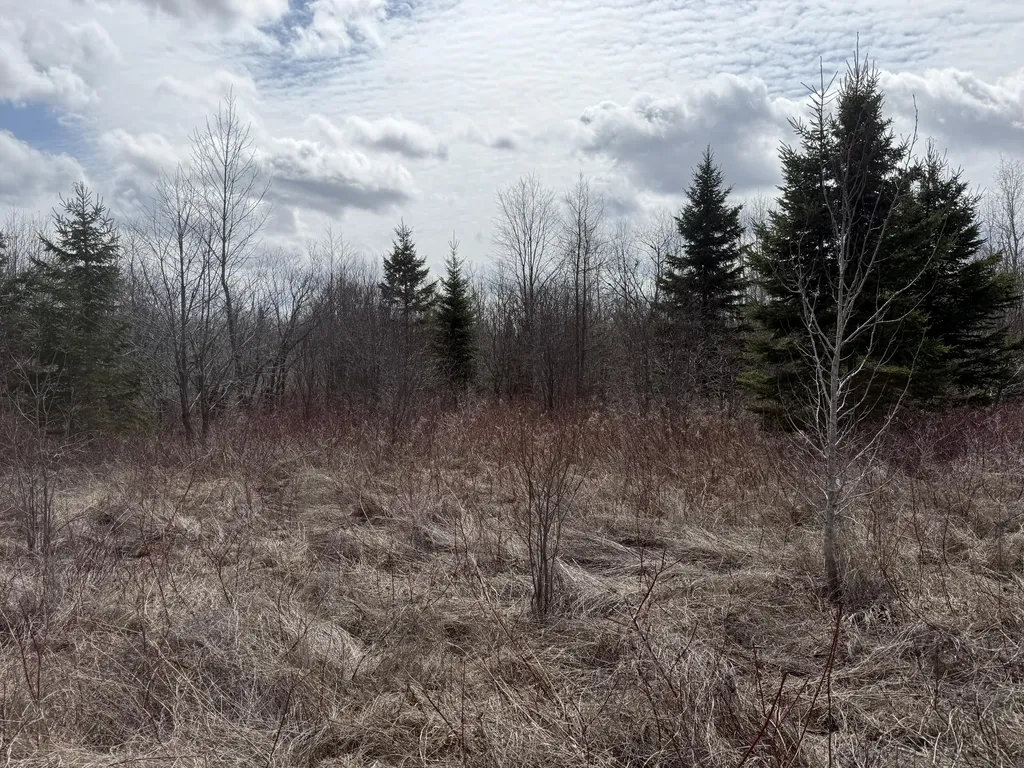 MAP6 Lot31 Mountain Road Blaine ME 04734
