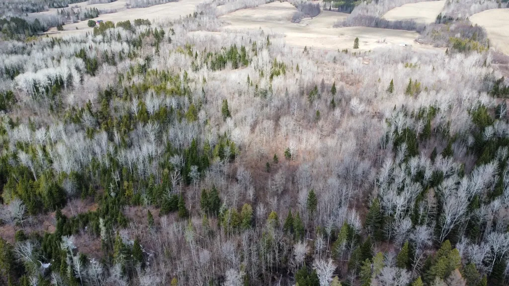 MAP6 Lot31 Mountain Road Blaine ME 04734
