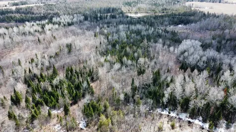 MAP6 Lot31 Mountain Road Blaine ME 04734