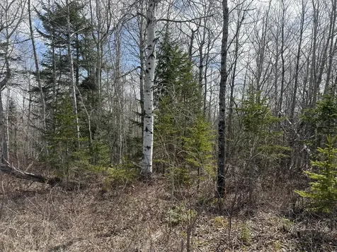 Map6 Lot31 Mountain Road Blaine ME 04734