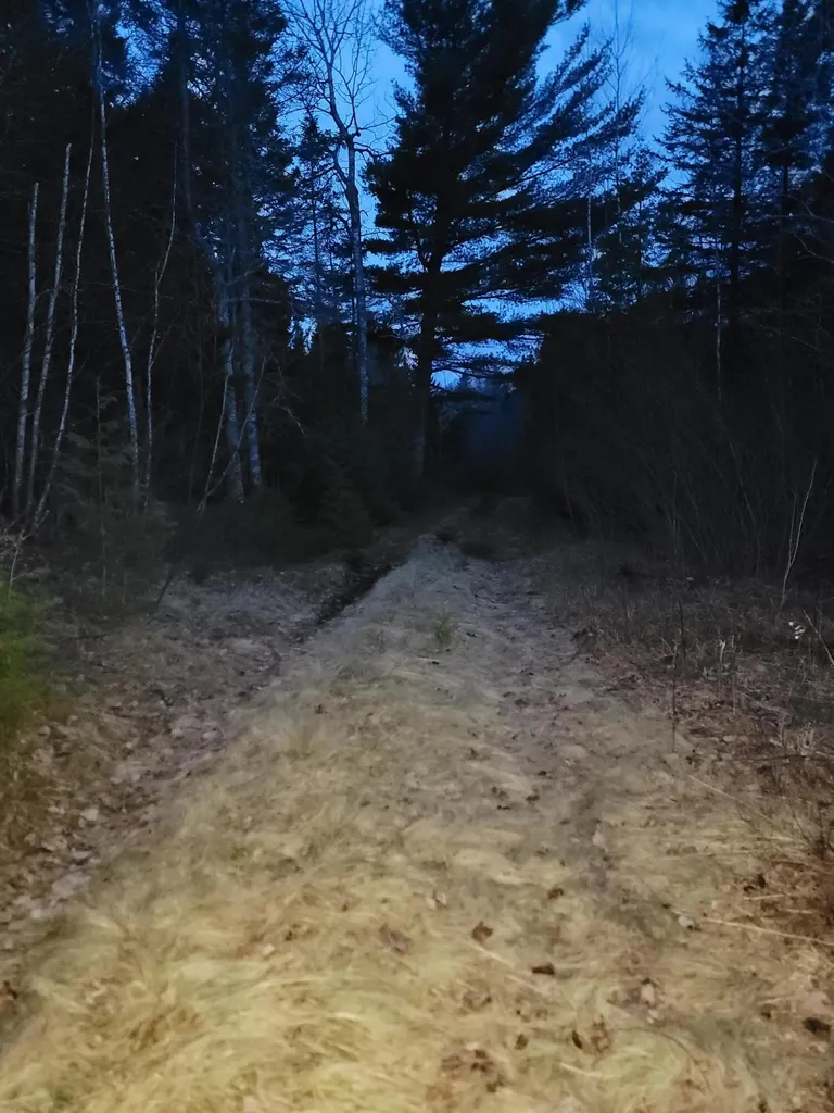 WA031 King Street Marion Twp ME 04628