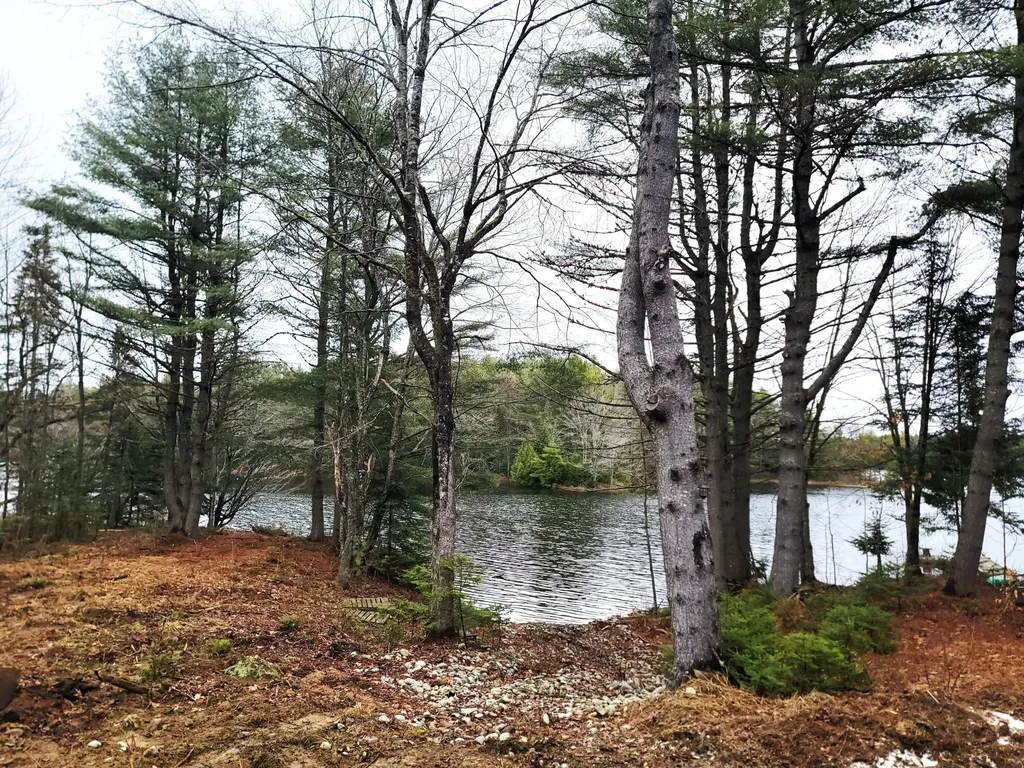 217 Frost Mill Road Mariaville ME 04605