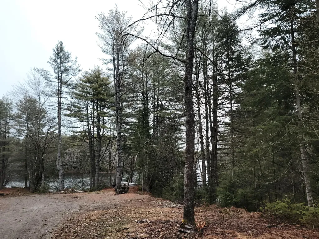 217 Frost Mill Road Mariaville ME 04605