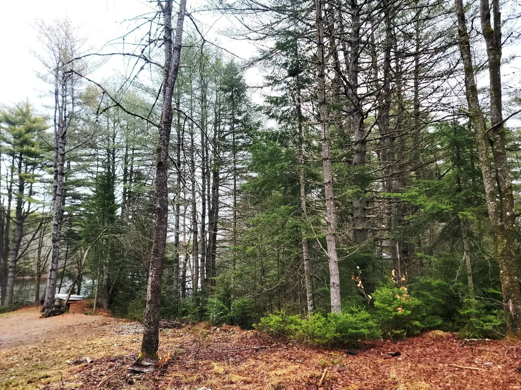 217 Frost Mill Road Mariaville ME 04605