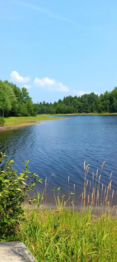 217 Frost Mill Road Mariaville ME 04605