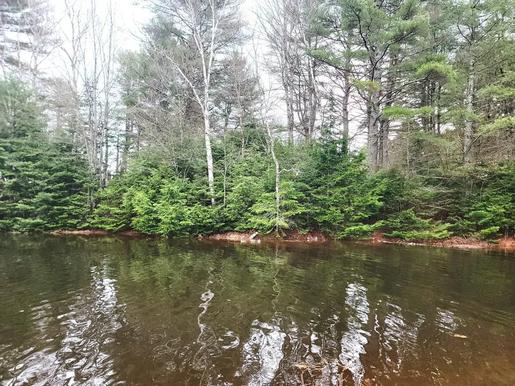 217 Frost Mill Road Mariaville ME 04605