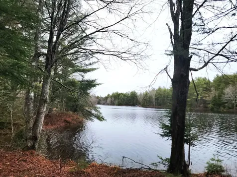 217 Frost Mill Road Mariaville ME 04605