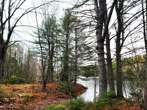 217 Frost Mill Road Mariaville ME 04605