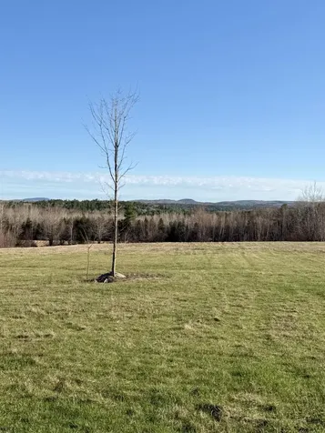 Lot # Tbd Shaw Hill Road Hampden ME 04444