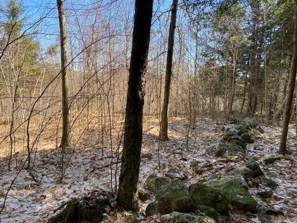 178 Maplecrest Road Parsonsfield ME 04047