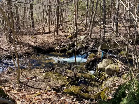178 Maplecrest Road Parsonsfield ME 04047