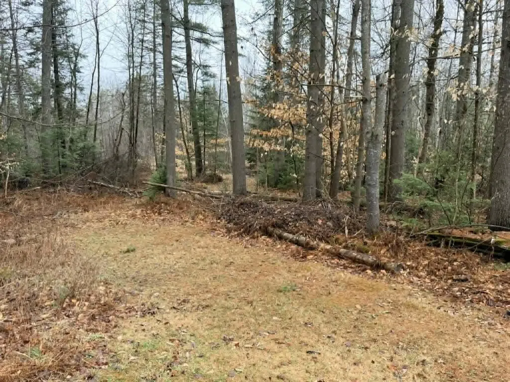 310 Mason Corner Road Saint Albans ME 04971