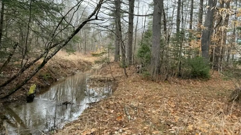 310 Mason Corner Road Saint Albans ME 04971