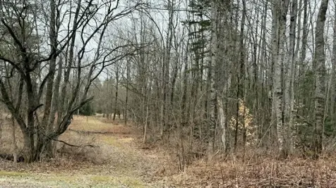 310 Mason Corner Road Saint Albans ME 04971
