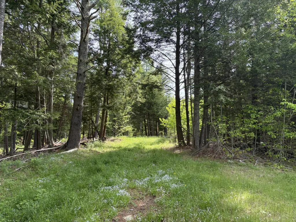Lot 1 Waldoboro Road Washington ME 04574