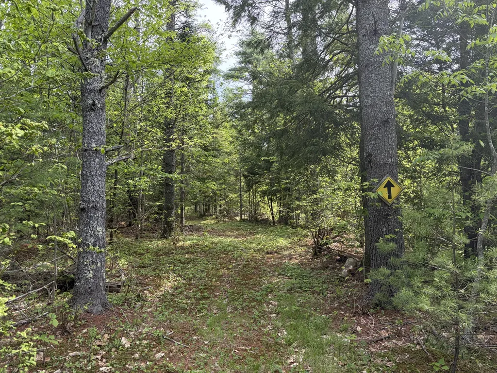Lot 1 Waldoboro Road Washington ME 04574