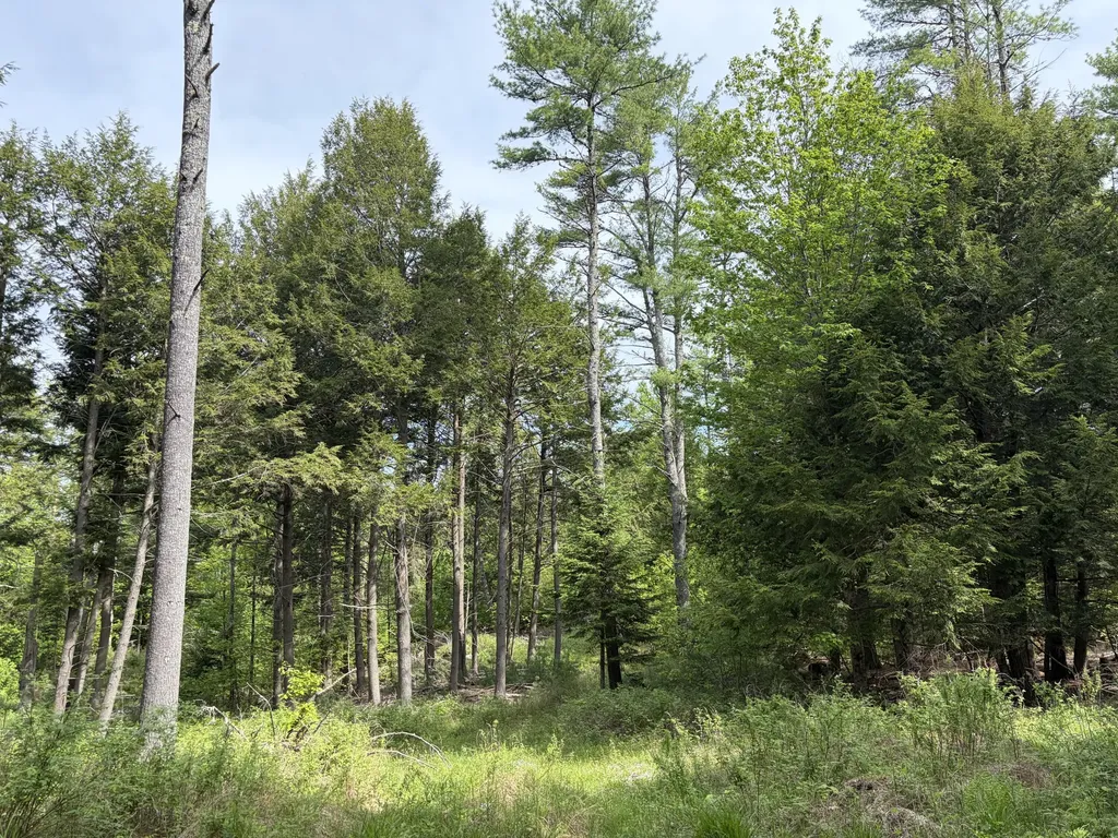 Lot 1 Waldoboro Road Washington ME 04574