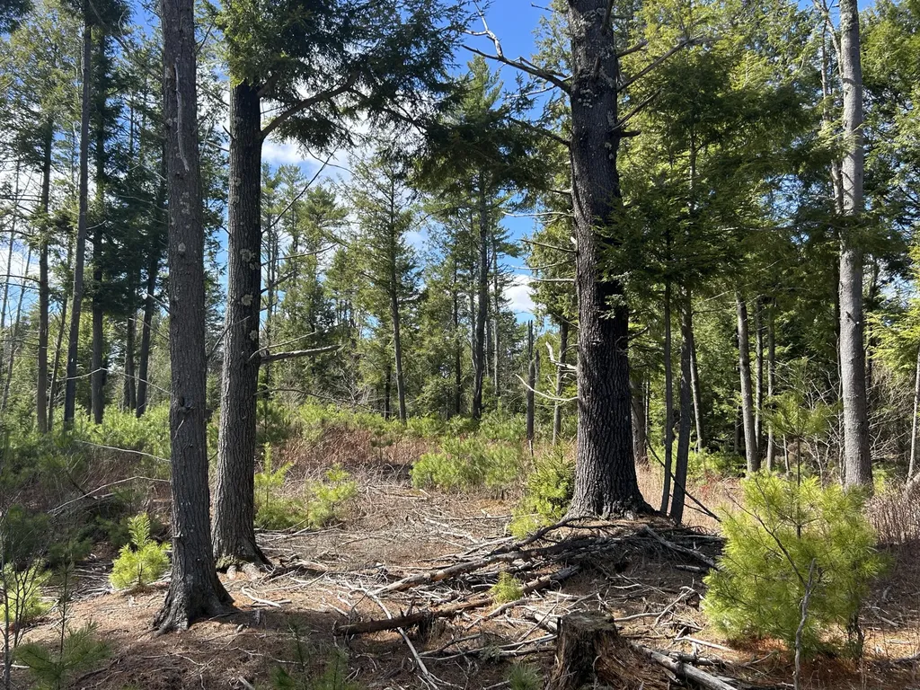 Lot 1 Waldoboro Road Washington ME 04574
