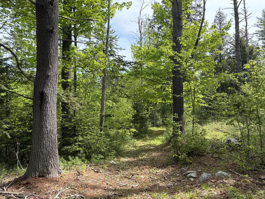 Lot 1 Waldoboro Road Washington ME 04574