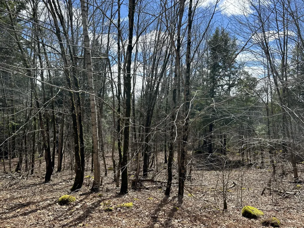 Lot 1 Waldoboro Road Washington ME 04574
