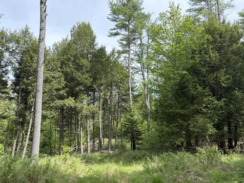 Lot 1 Waldoboro Road Washington ME 04574