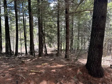 Lot 1 Waldoboro Road Washington ME 04574