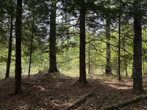 Lot 1 Waldoboro Road Washington ME 04574
