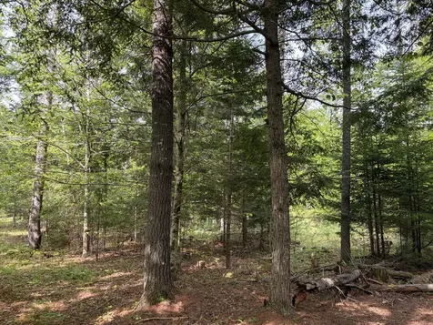 Lot 1 Waldoboro Road Washington ME 04574