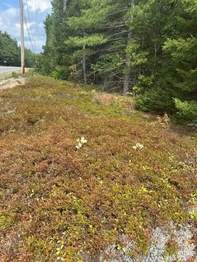 0 Route 1 Route Gouldsboro ME 04607